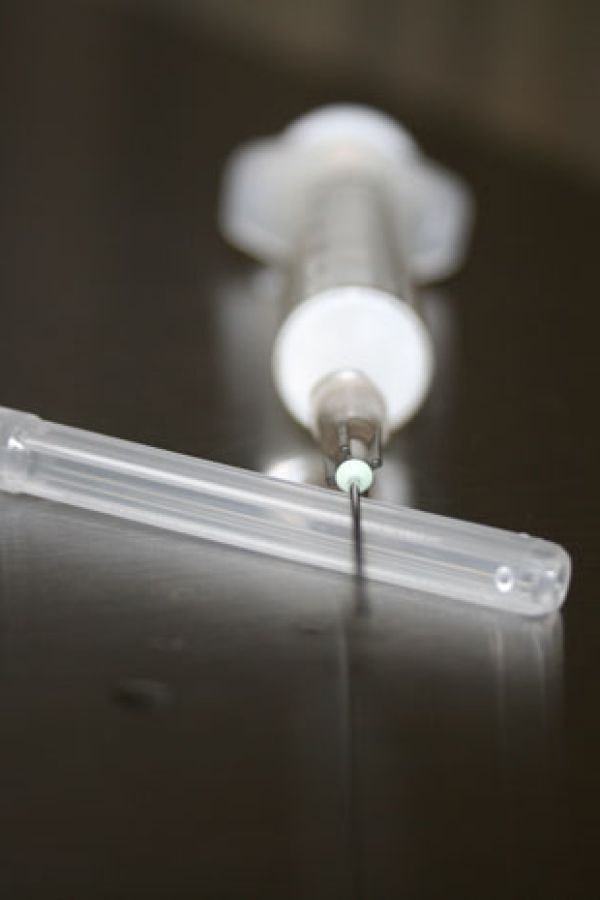 Eindrücke zu Needles, Injections and Syringes
