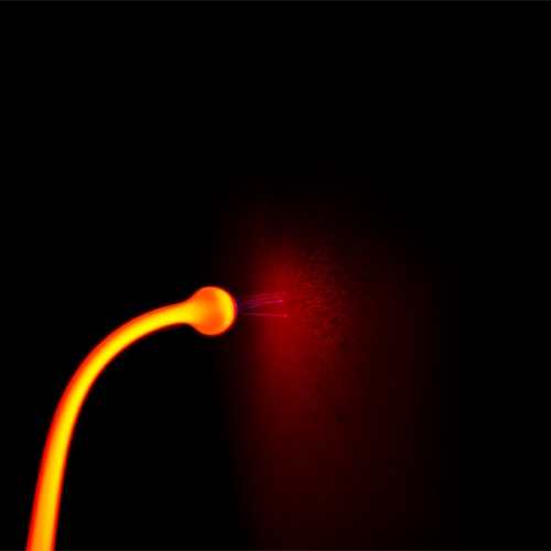 Foto 3 von 6 - Violet Wand