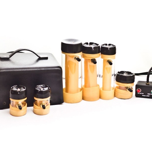 Foto 1 von 3 - Venus 2000