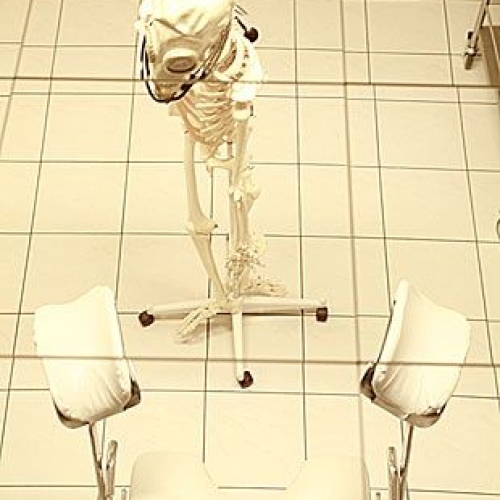 Foto 4 von 18 - Klinik